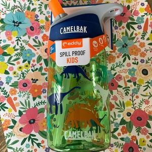 New dinosaur Camelbak Eddy water bottle